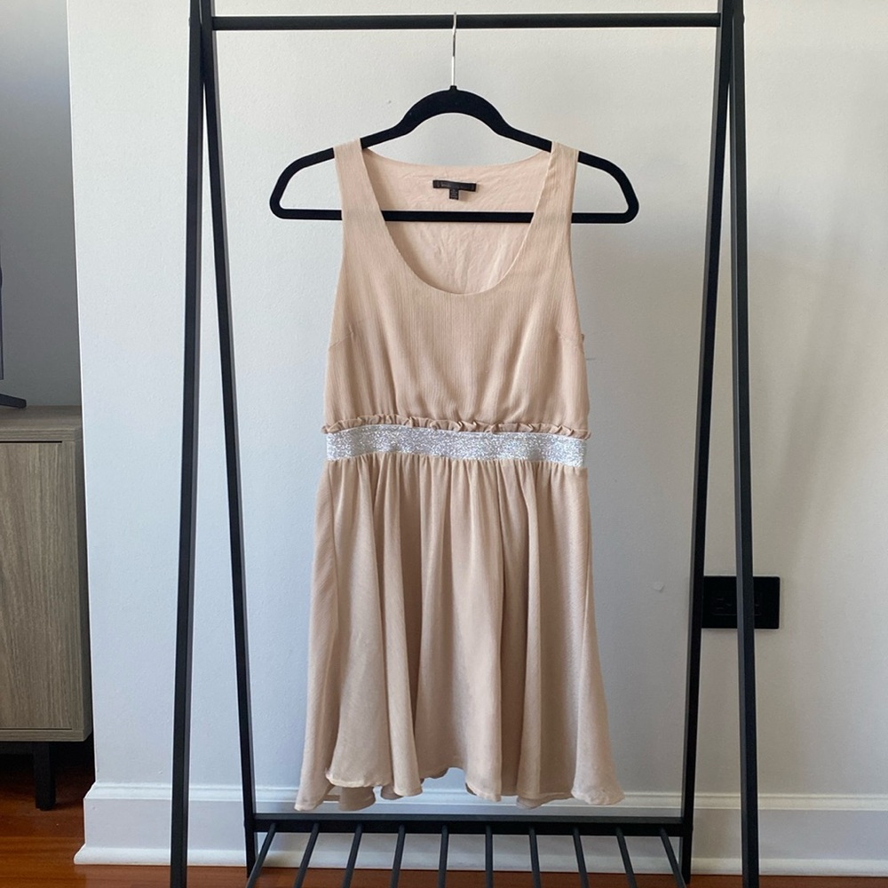 Champagne and Silver Dress